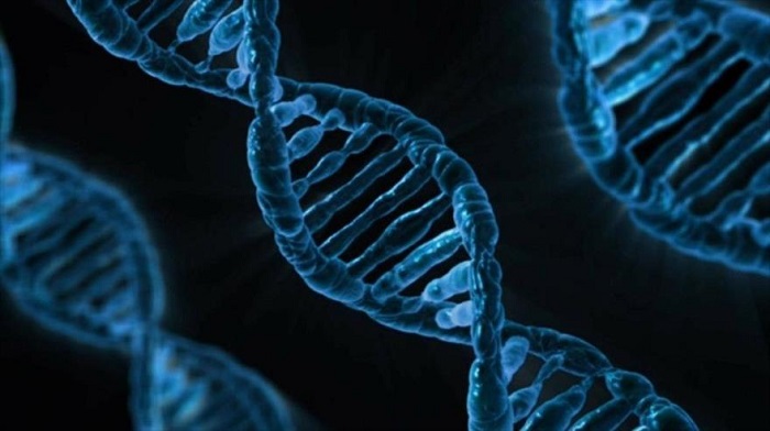 Científicos modifican el genoma humano: ¿El `arma definitiva` contra el cáncer?