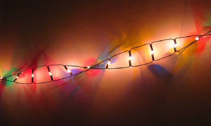Genschere: Embryonen erstmals mit HIV-Immunität versehen