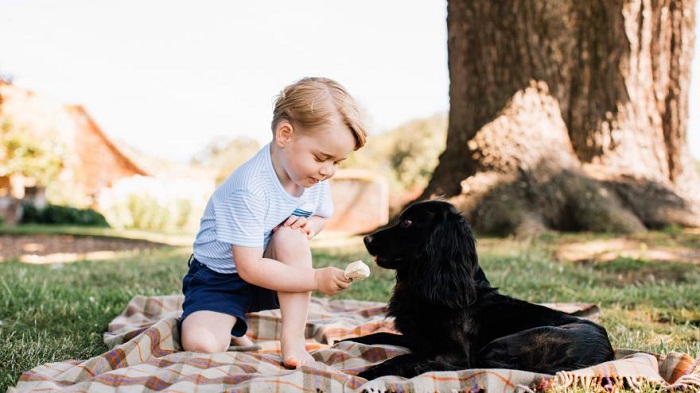Une responsable culturelle britannique s’en prend au prince George