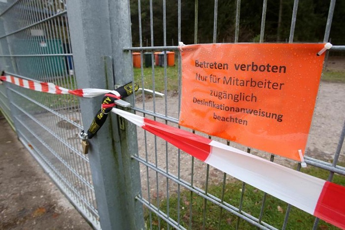 Vogelgrippe schon in elf Bundesländern