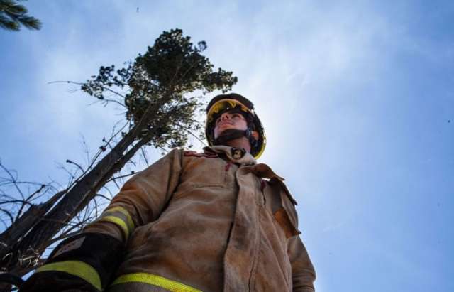 Chile: Alerta roja por incendio forestal en la región de Valparaíso