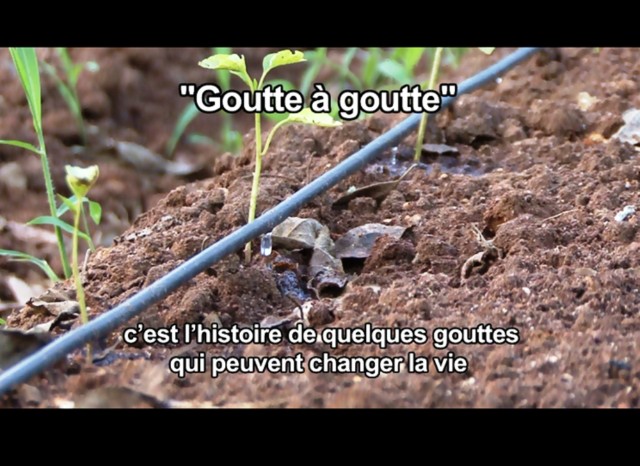 Le savoir-faire d`irrigation israélien `goutte-à-goutte` redonne l`espoir à l`Afrique - VIDÉO