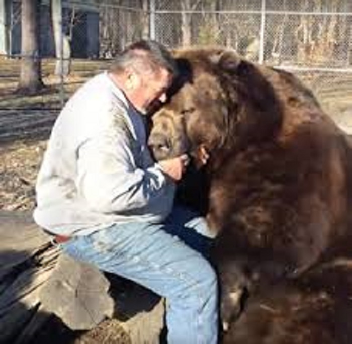 Extremes Knuddeln: Grizzlybär hat sein vollstes Vertrauen