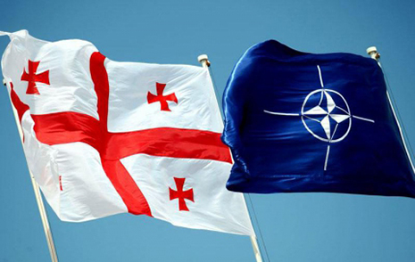 Gürcüstan tezliklə NATO üzvü ola bilər 