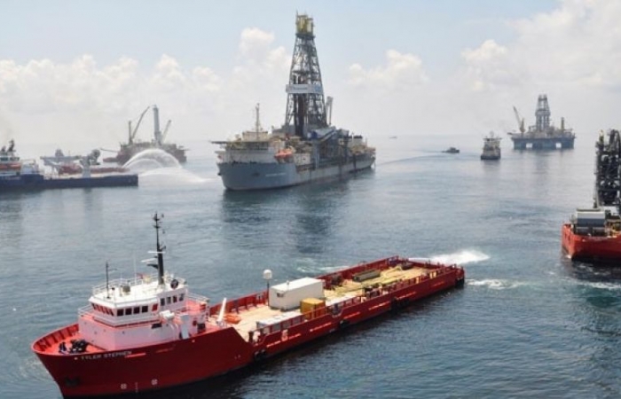 Scientists find dozens of new species in Gulf of Mexico after Deepwater Horizon oil spill