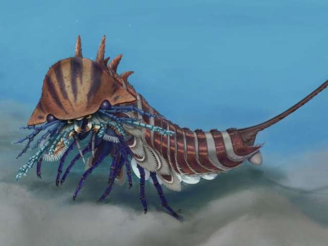 Scorpion-like creature lived 508 million years ago, scientists say