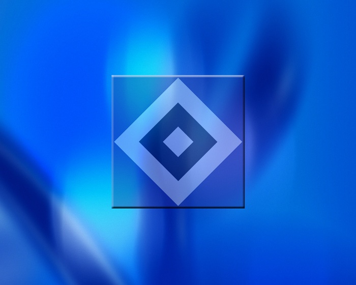HSV plante für 2016/17 mit 44 Punkten – Minus von 11 Mio erwartet
