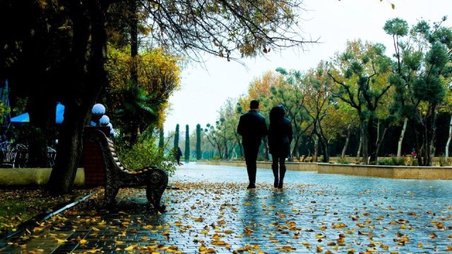 Bu günün hava proqnozu