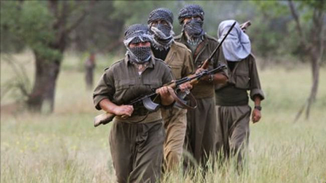 PKK yenidən ayağa qalxdı