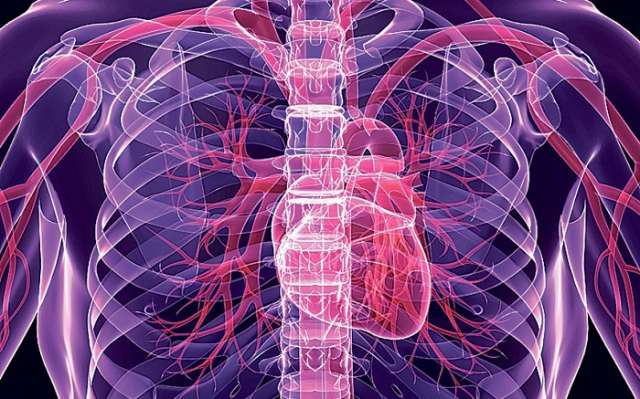  China makes world`s 1st 3D blood vessel bio-printer