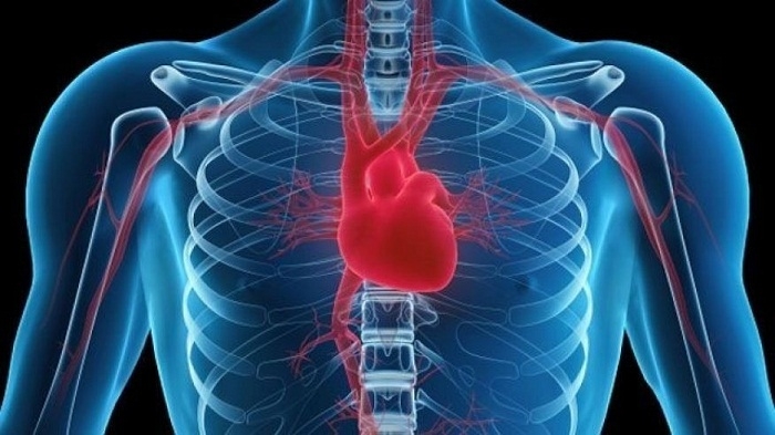  How hacking the human heart could replace pill popping 