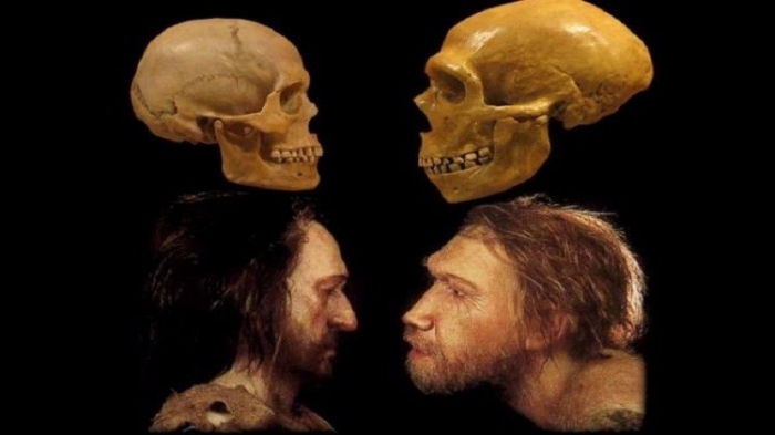 اكتشاف أصل إنسان "دينيسوفان" البدائي
