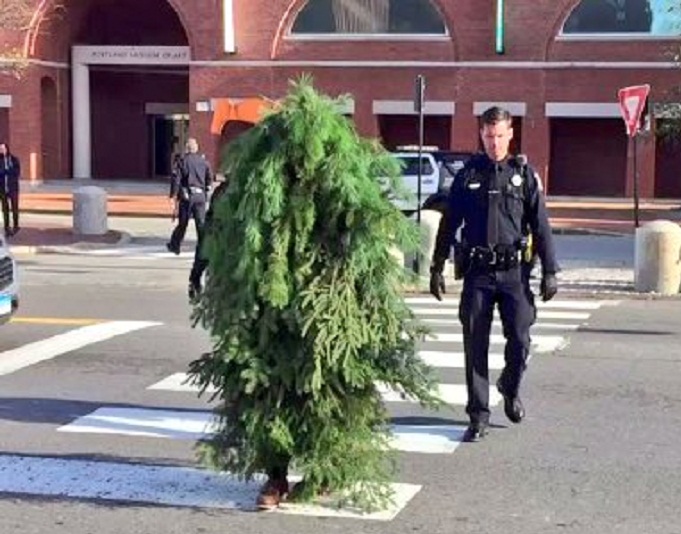 La police US arrête un homme-arbre - VIDEO