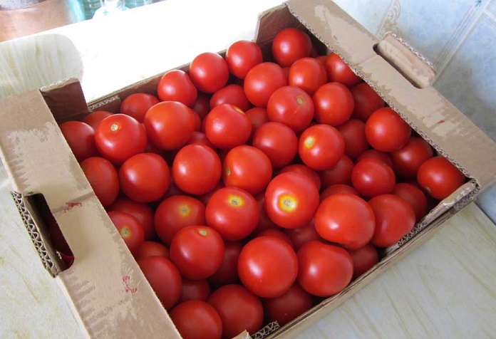 Azerbaijan sharply increases tomato export to Russia