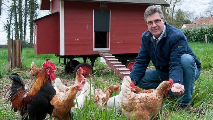 “Ein Huhn für drei Monate, bitte“