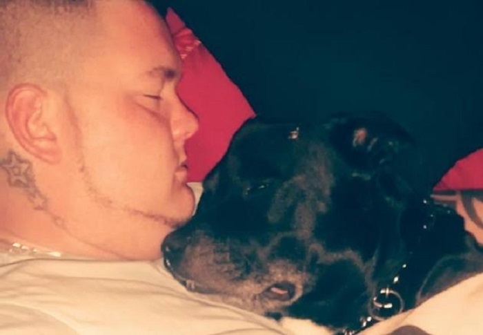 Hund rettet Herrchen vor Selbstmord – und stirbt dann selbst