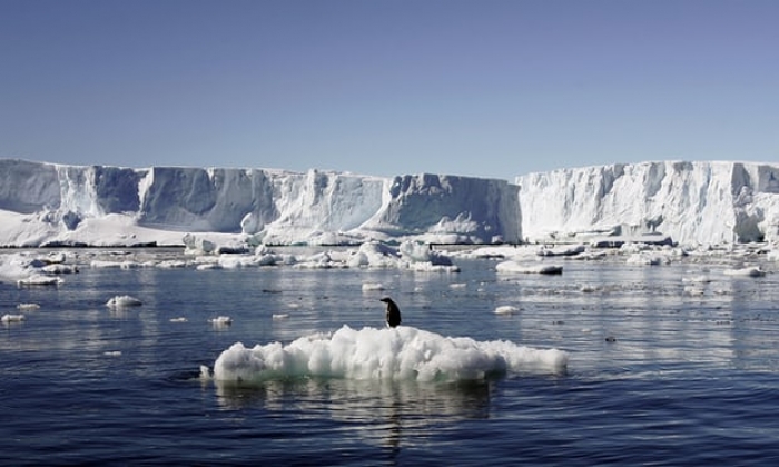 Antarctic sea ice levels hit record low, but experts are not sure why