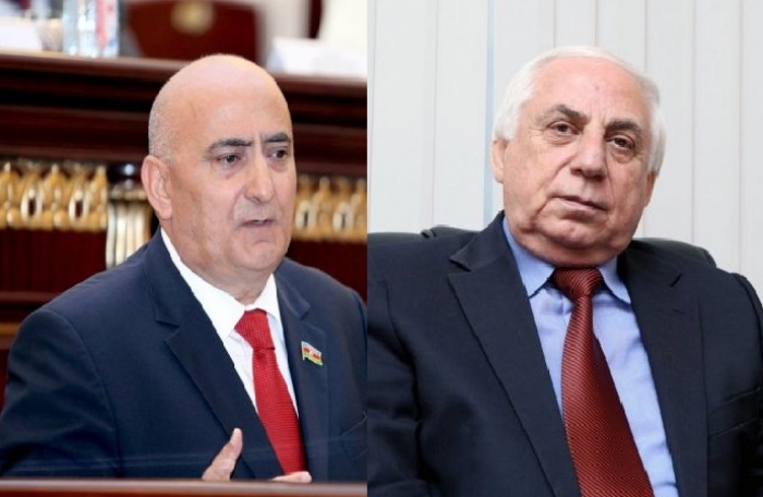Azerbaijani President awards 2 Azerbaijani MPs with order
