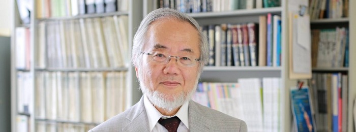 Medizinnobelpreis geht an den Japaner Yoshinori Ohsumi