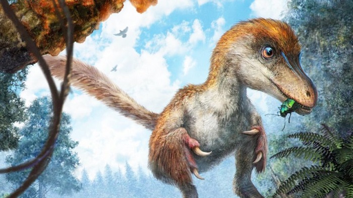 Dinosaurierschwanz in Bernstein entdeckt