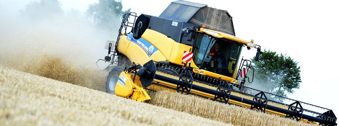 Regen, Pilze, Krankheiten - schlechtes Wetter lässt Bauern verzweifeln