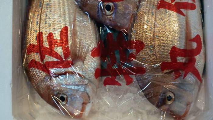 Tokios Fischmarkt soll umziehen