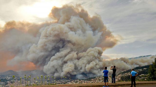 Portugal : les incendies à Madère font trois morts, 1.000 personnes sont évacuées