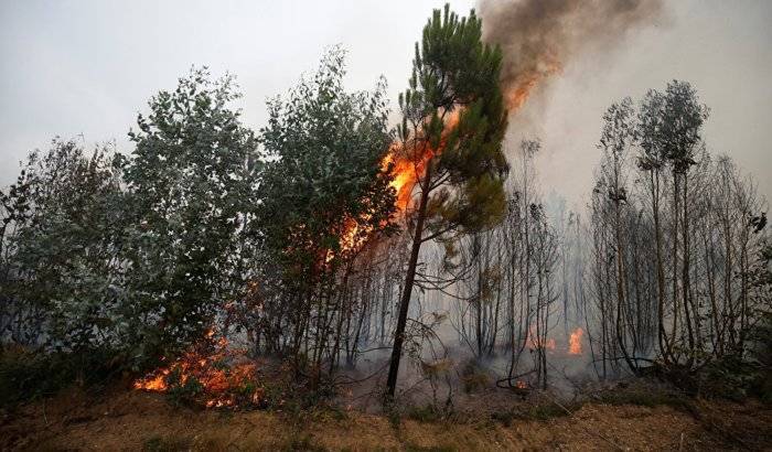 España envía una treintena de bomberos a Portugal para ayudar a combatir el incendio