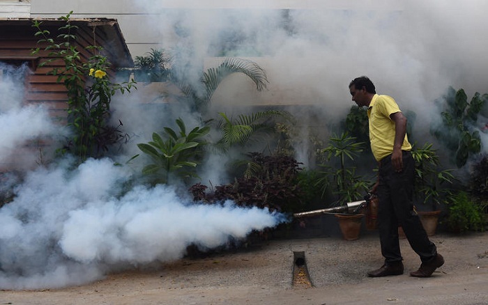 La dengue fait un retour ravageur à New Delhi