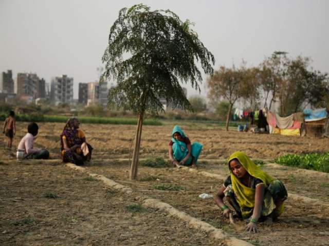 Climate change linked to suicides of 59,000 farmers in India, finds report