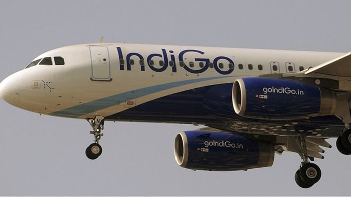 India`s biggest airline in initial share offering