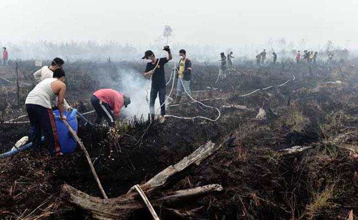 Indonesians take fight against haze into their own hands