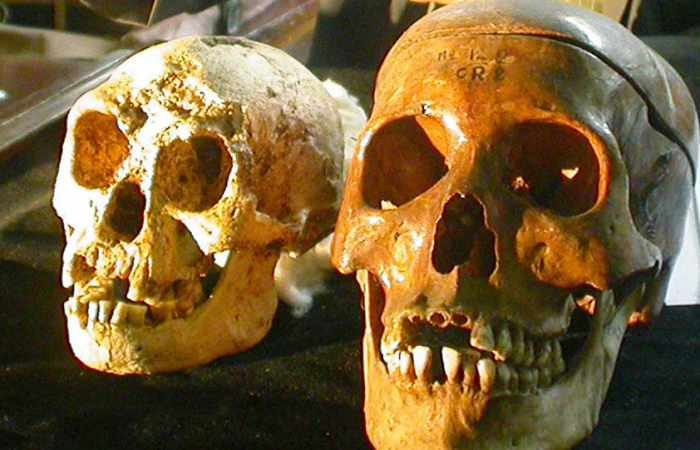 We're not close: Indonesia's human-like ‘Hobbit’ Skeletons aren't our ancestors