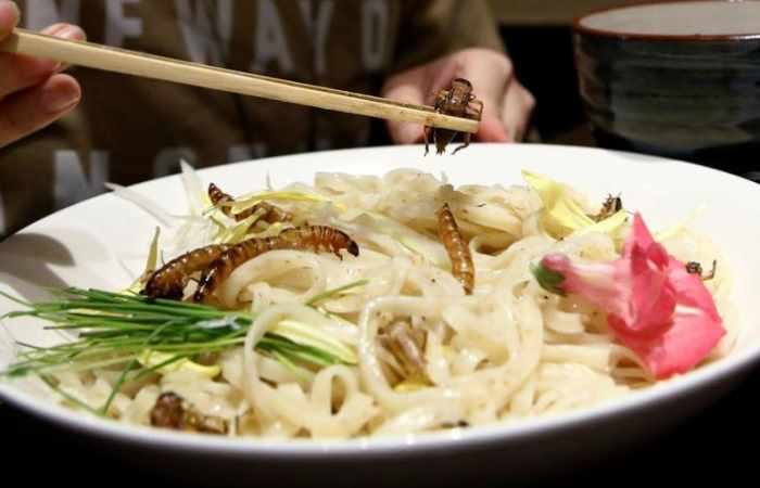 A dash of bugs with that? Insect-topped noodles sell out in Tokyo