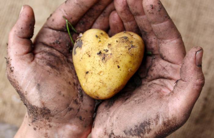ONU: l'insécurité alimentaire accélère les migrations mondiales