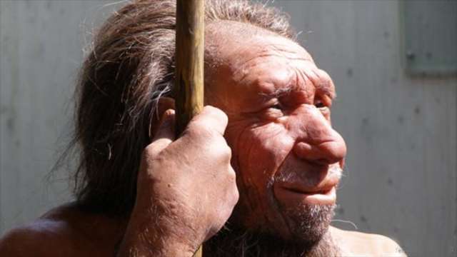 Human evolution was shaped by interbreeding