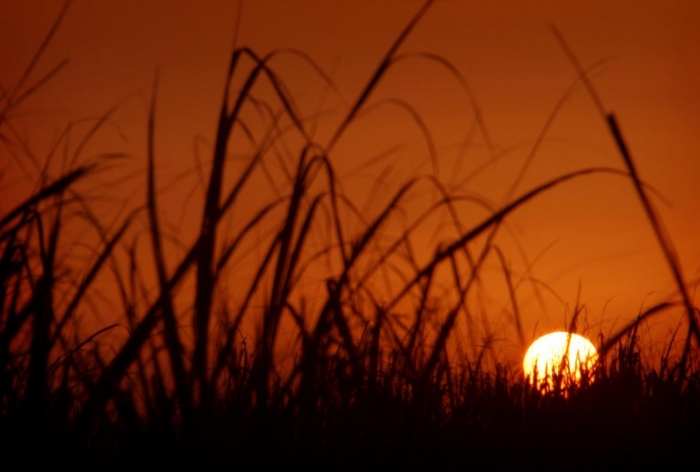 Iran city hits one of the hottest temperatures ever seen on Earth