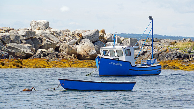 Una isla canadiense ofrece trabajo y casi una hectárea de tierra a quienes deseen habitarla