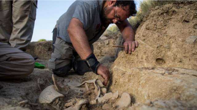 Spanish archaeologists dig up more civil war dead from mass graves