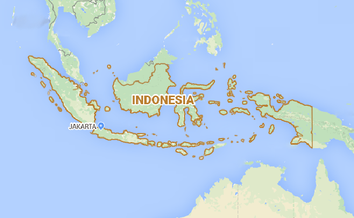 Search Begins for Aircraft Carrying 10 People in Indonesia