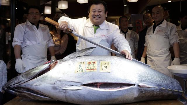 Japon: un thon rouge à 605.000 euros à la 1ère criée 2017