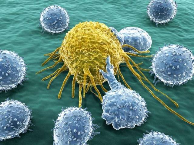 اكتشاف جديد لنشاط حيوي يدمر الخلايا السرطانية