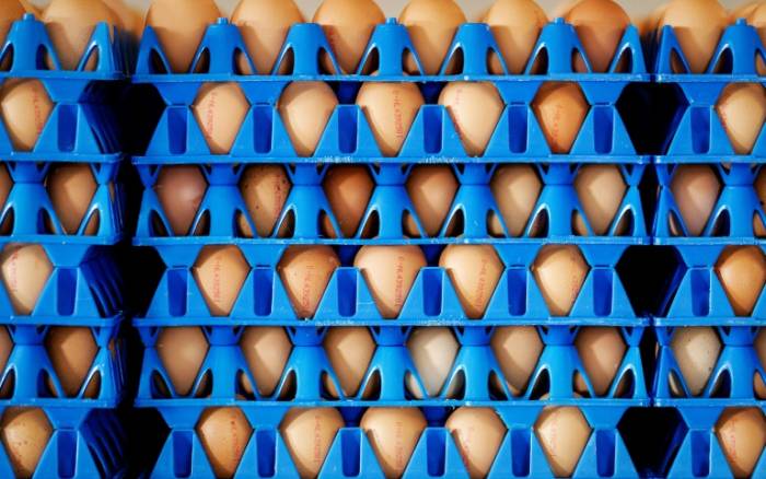 Près de 700.000 oeufs contaminés importés au Royaume-Uni