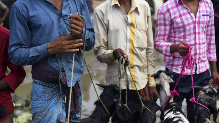 Bangladesh: un journaliste arrêté pour une chèvre morte évoquée sur Facebook