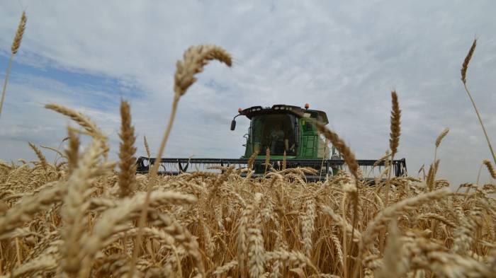 Russie: exportations record de céréales malgré une récolte en baisse