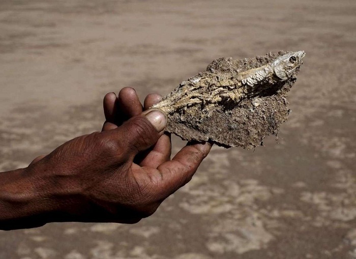 Les réfugiés climatiques du lac Poopo - VIDEO
