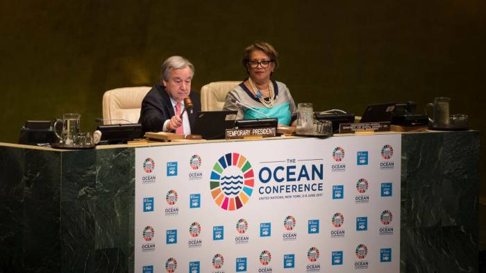 Le chef de l'ONU appelle à sauver les océans