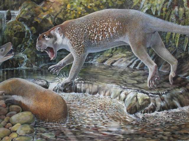 Extinct kangaroo-like lion discovered in Australia