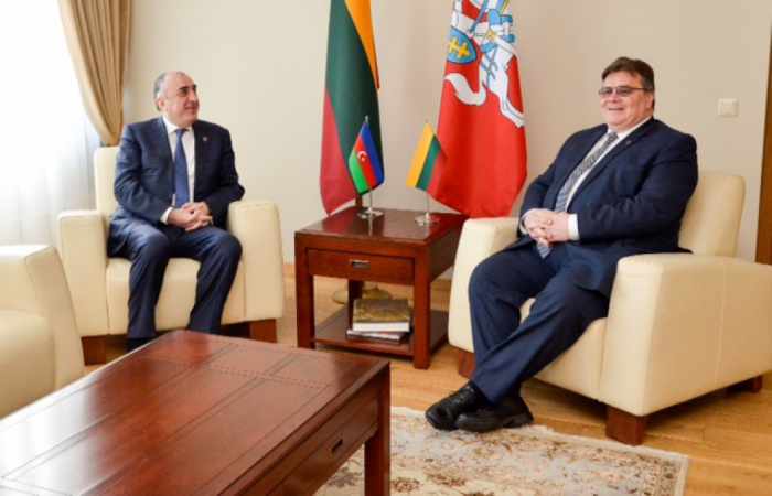 Lithuania supports development of Azerbaijan-EU cooperation - Linas Linkevicius 
