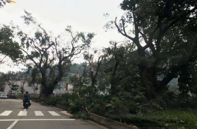 Nine killed, many missing, after Typhoon Hato hits Macau